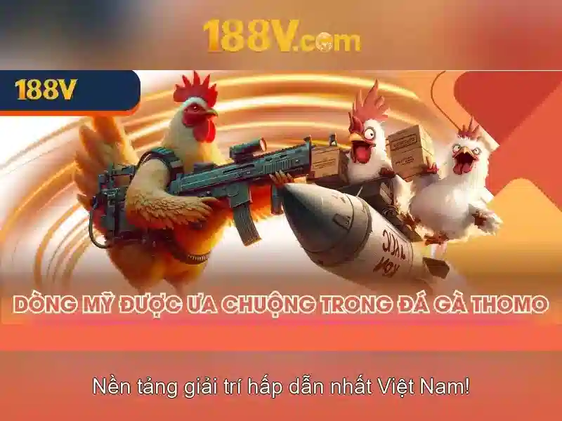 Ảnh live casino 8K và sòng bài trực tiếp